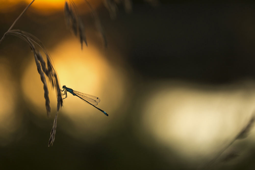 Platz 8 Conny Kleiner